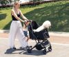 Qppet  - Pettie Pet Black 6959 Kutya és Cica Babakocsi – babakocsi 3. kép