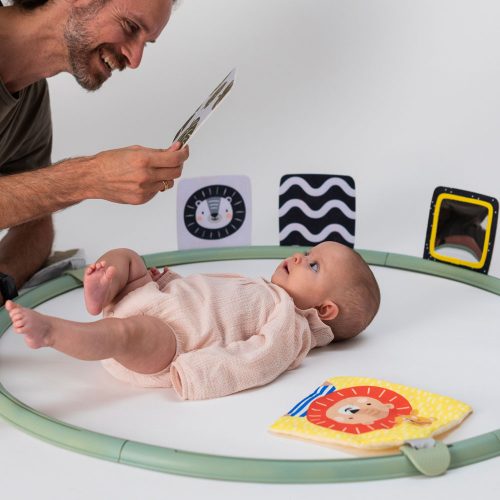 Taf Toys játszókarika Tummy-time trainer 12945 – Zsebi Baba Shop