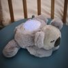 Nattou éjjeli fény projektor zenélõ plüss koala szürke – Zsebi Baba Shop
