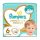 Pampers Premium Care 6 pelenka 13kg< 38db – babapelenka