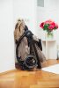 BRITAX RÖMER Rio Style Teak – babakocsi 7. kép