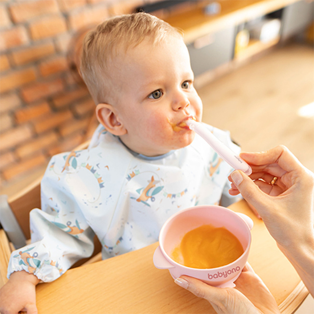 BabyOno 1662/02 - Szilikon Tapadókorongos Tányér Fedéllel/Pink – babatermék